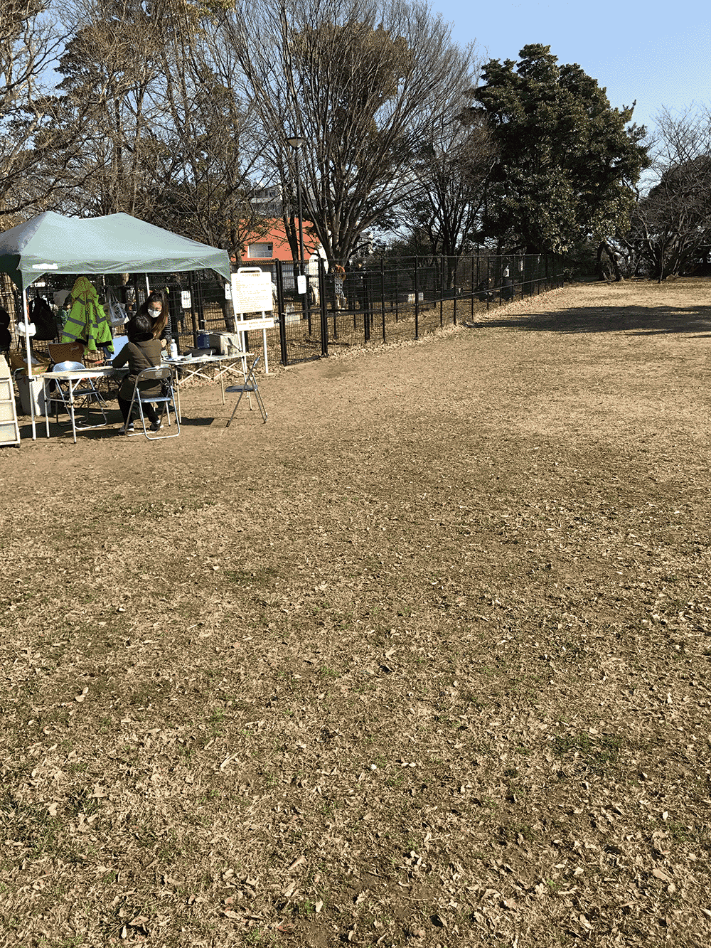 本牧 山頂公園のドッグラン　トレーナー常駐　周りの犬連れ施設も紹介　横浜