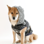 子犬の「犬服」どうしてる？蚊に対抗できるmoscape（モスケイプ）を選ぶのもいい