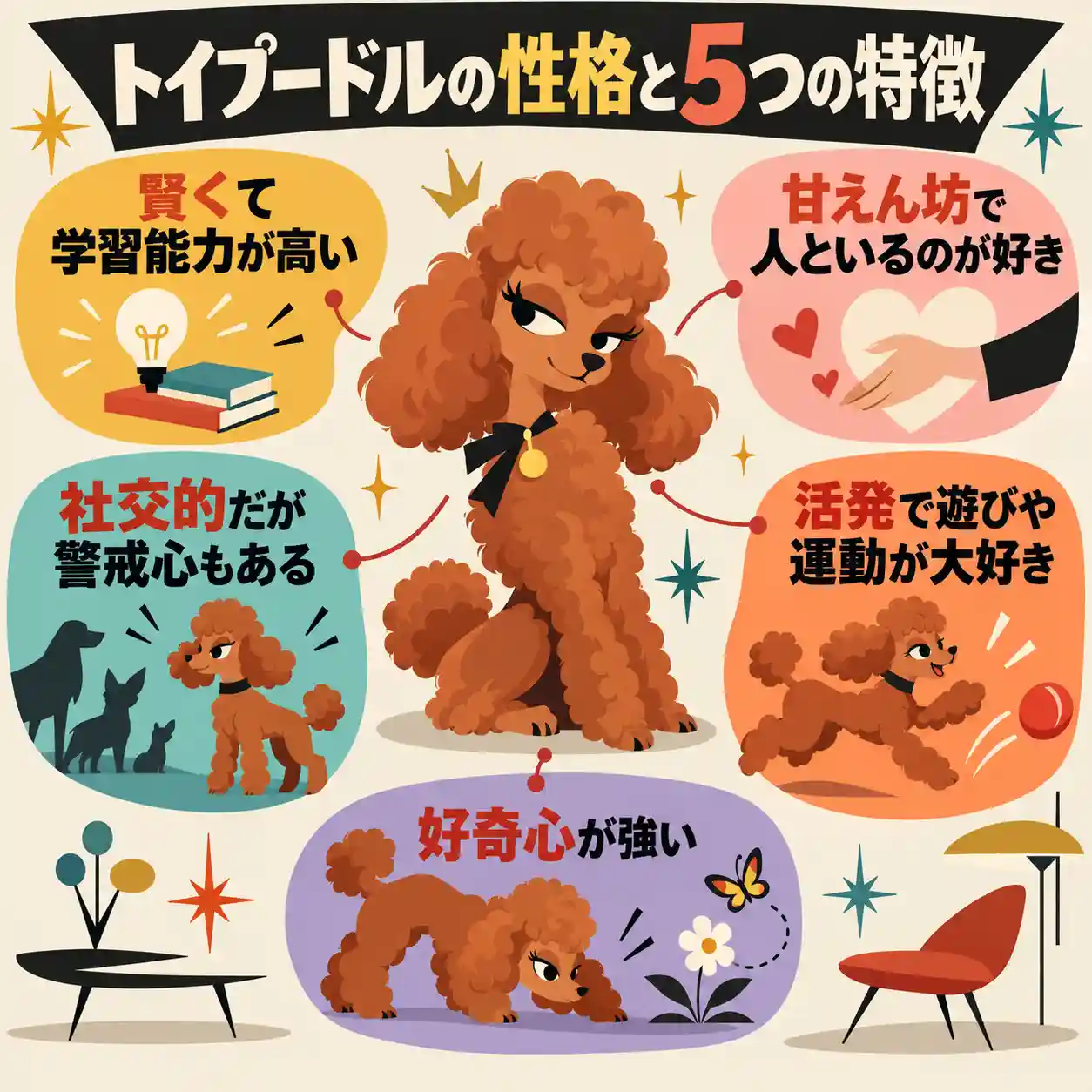トイプードルの性格を解説するイラスト。賢さ、甘えん坊、社交性と警戒心、活発さ、好奇心の5つの特徴を紹介。