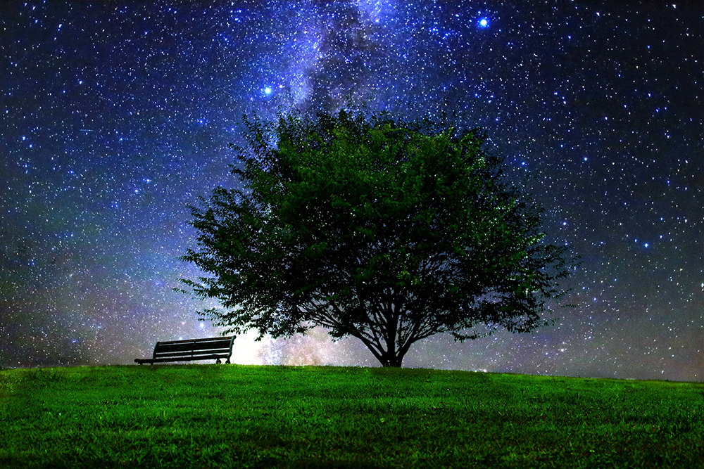 夜の公園　星空