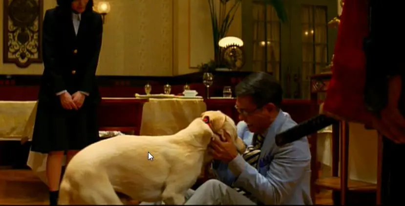 コロンボの犬の名前と犬種 バセットハウンドってどんな犬 古畑任三郎の犬は 子犬の記念日