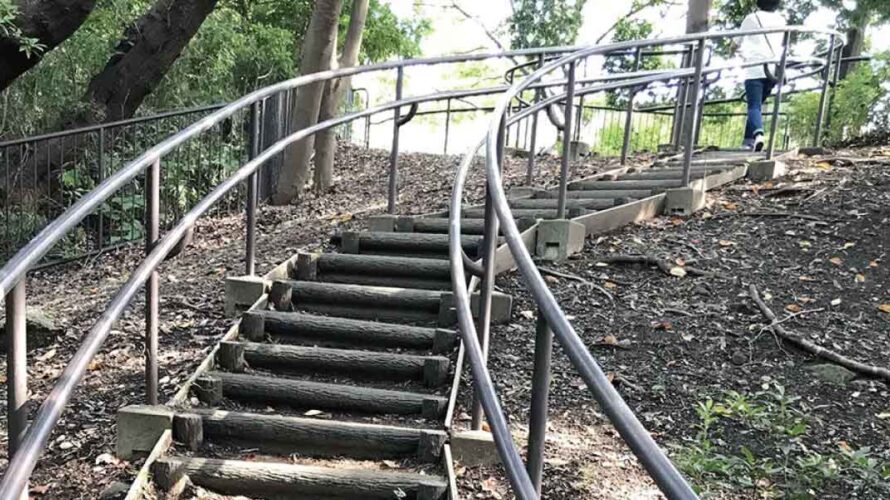 ドッグランに上がっていく階段