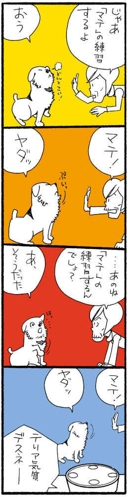 子犬に 待て はいつから おすわりと伏せも 教え方は6つのステップとお助けグッズ 子犬の記念日