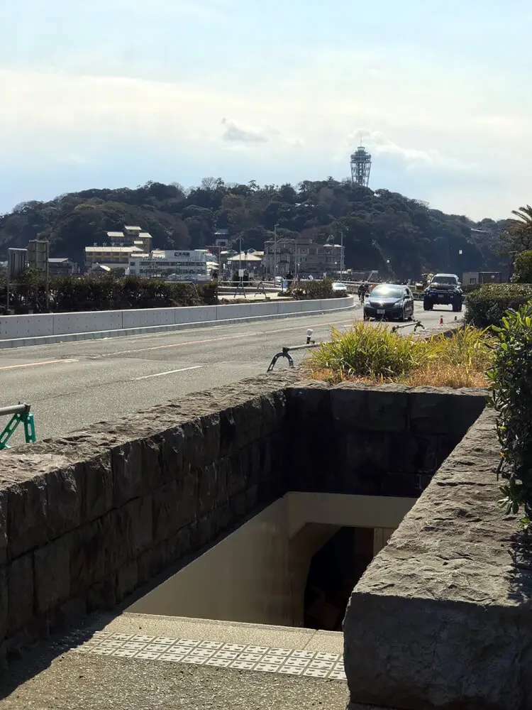 江ノ島で犬とカフェなら 駐車場付き これがおトクな３ヶ所 子犬の記念日
