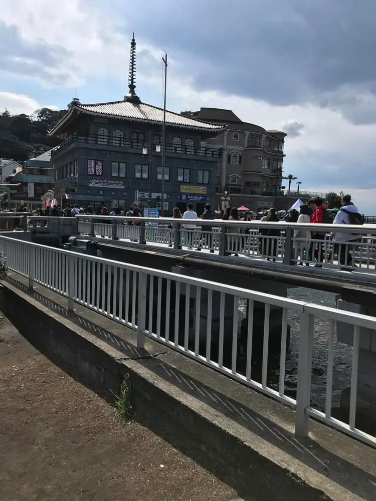 江ノ島で犬とカフェなら 駐車場付き これがおトクな３ヶ所 子犬の記念日