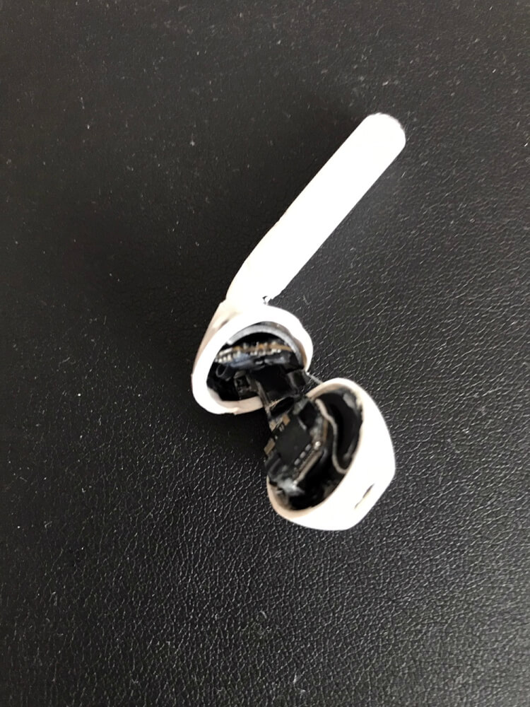 ノーフォークにかじられて全壊のAIRPODS