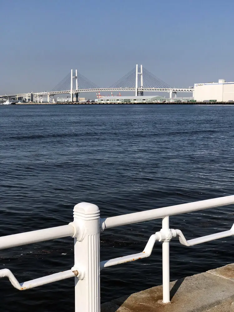 山下公園 犬連れ散歩で芝生に寝っ転がろう 犬とランチは元町ドッグカフェ 横浜 子犬の記念日