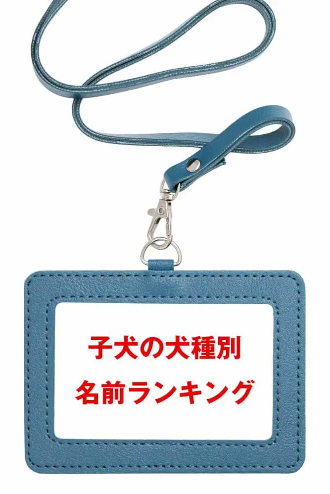 子犬の名前18ランキングを犬種別にまとめてみた 子犬の記念日 子犬の名前18ランキングを犬種別にまとめてみた 子犬の記念日
