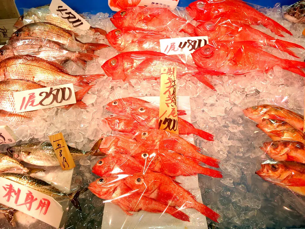 犬に魚 食べてはいけない魚 食べてもいい魚 魚の犬飯レシピも 果物にも注意 子犬の記念日