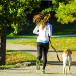 犬とのジョギングを散歩に取り入れる