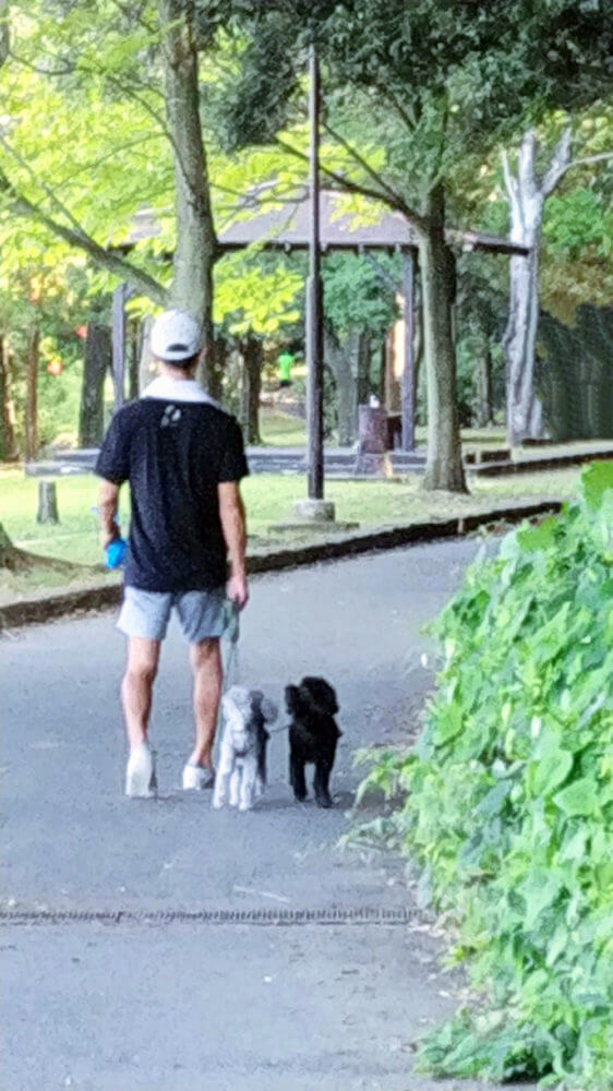 犬は散歩がなぜ好きなのか その理由 犬種別必要な散歩時間 子犬の記念日