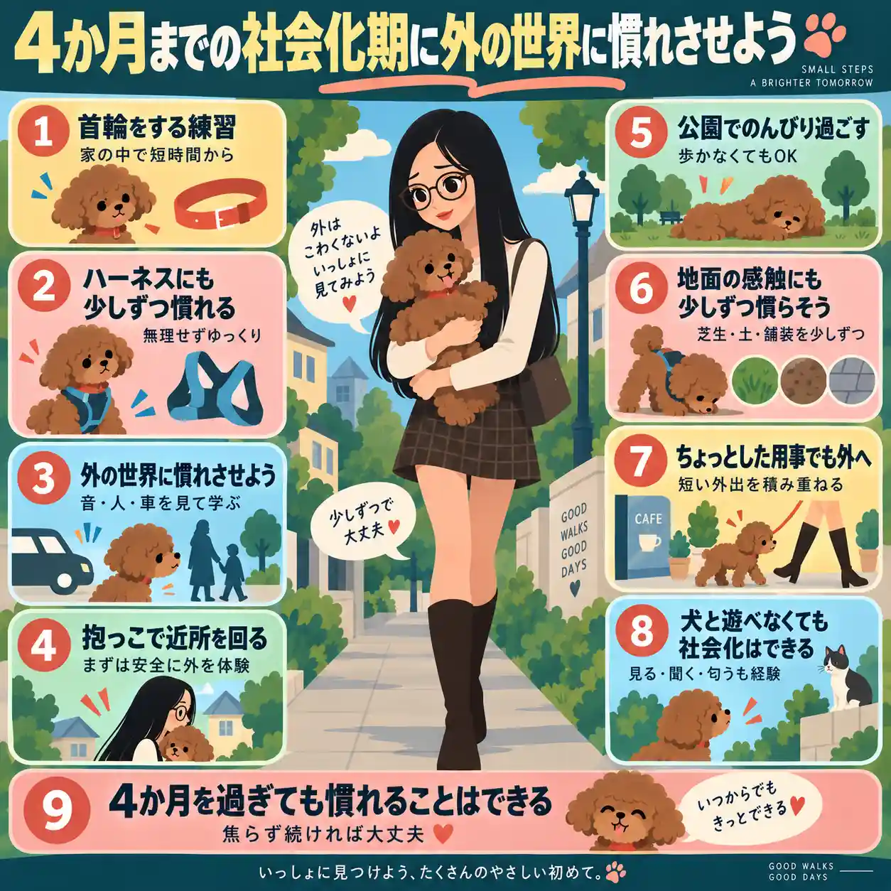 トイプードルの子犬を抱っこして近所を歩き、4か月までの社会化期に外の世界へ慣らす方法を示したイラスト