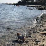 燈明堂海岸　駐車場には勇気を持って進め　シーグラス取り放題！横須賀 浦賀