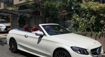 オープンカー アーカイブ 子犬の記念日 オープンカー アーカイブ 子犬の記念日