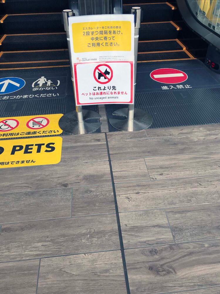 ペット禁止の階段