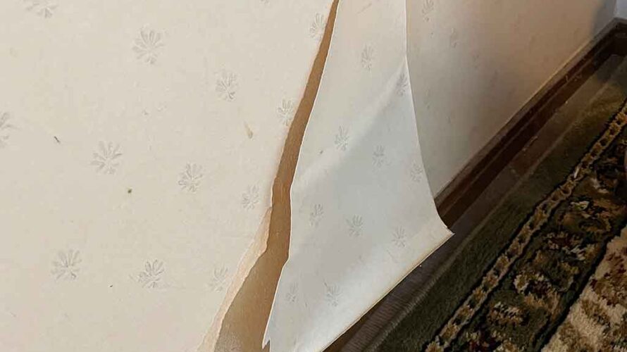 犬が壁紙をかじって破いた　修復はどうする？
