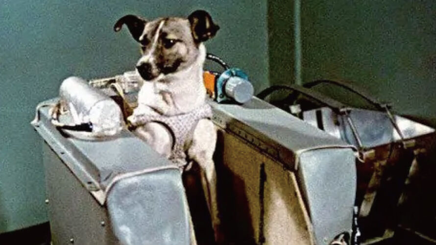 宇宙犬ライカの犬種は？