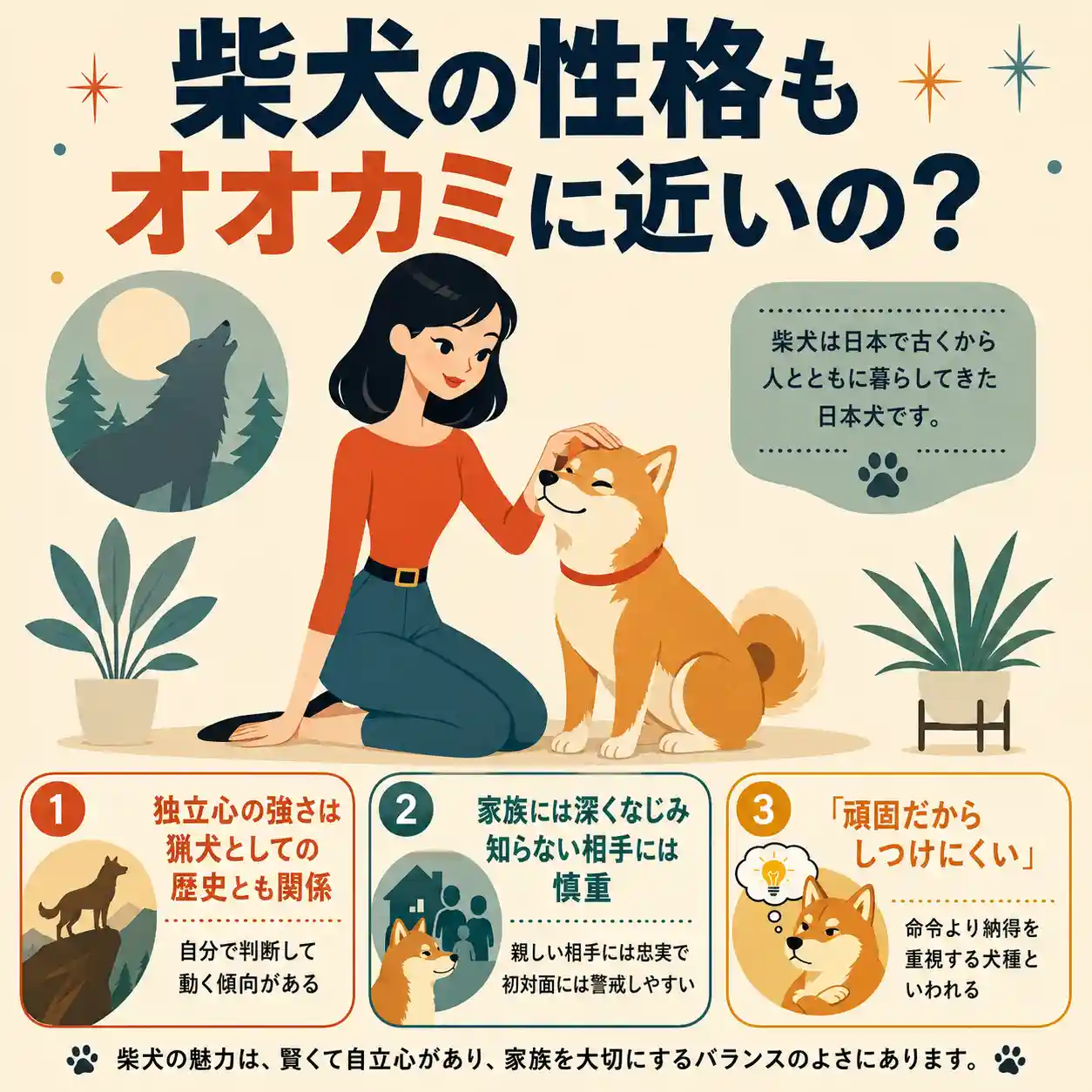 柴犬の性格とオオカミとの共通点を解説するインフォグラフィック。女性に撫でられる柴犬と、独立心・警戒心・しつけの特徴を紹介。
