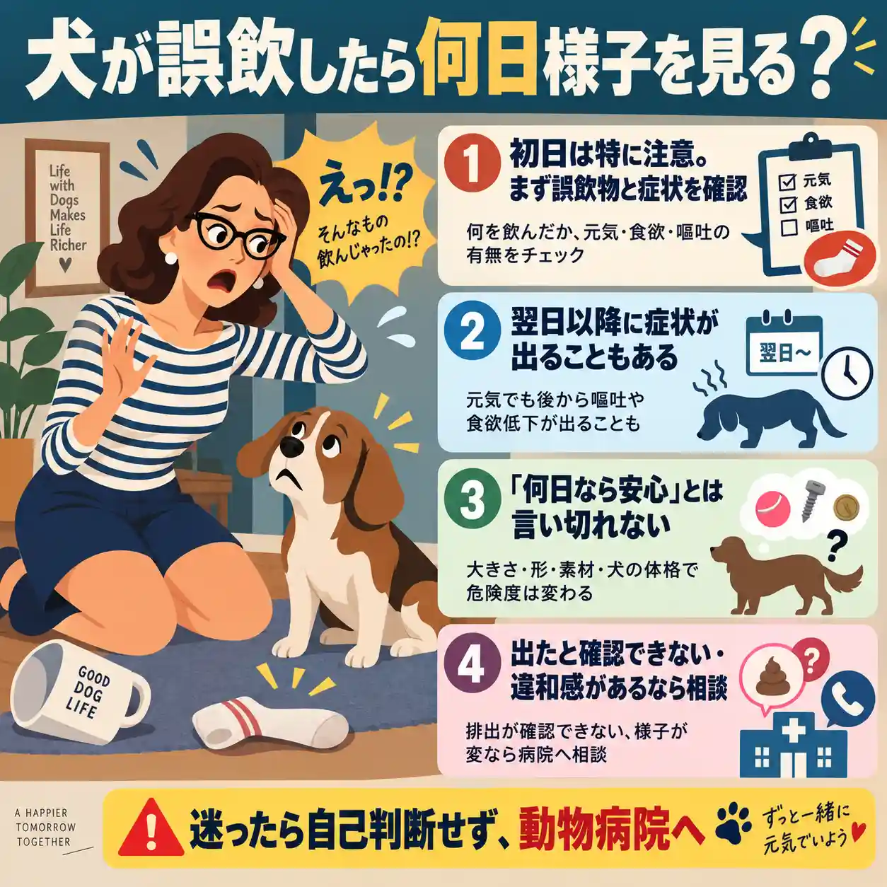 が誤飲したときは何日様子を見るかを解説するインフォグラフィック。慌てる女性と犬を中心に、初日は誤飲物と症状を確認、翌日以降に症状が出ることもある、何日なら安心とは言い切れない、違和感があれば動物病院へ相談、の4点を紹介している。