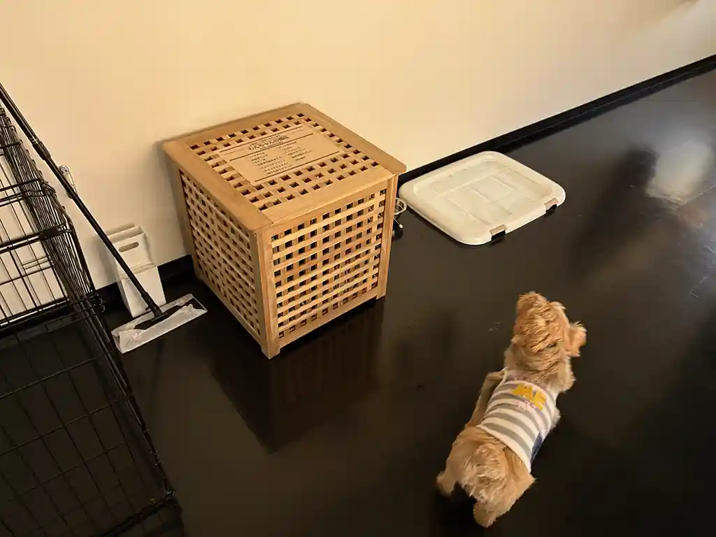 ペットグッズが入った箱