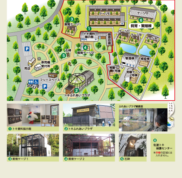 トキの森公園　マップ