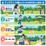 ドッグランのマナー完全ガイド｜犬の遊びと嫌がるサインの見分け方